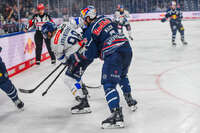 09.10.2026, München, Deutschland. PENNY DEL, Deutsche Eishockey Liga, Saison 2026/27, 7. Spieltag: EHC Red Bull München gegen ERC Ingolstadt im SAP Garden in München. Lukas Klok (EHC Red Bull München) im Zweikampf, im Duell, im Kampf um den Puck
